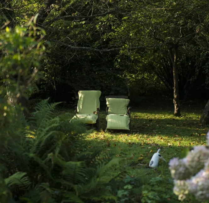 Vue sur le jardin en début de printemps quand les beaux jours arrivent