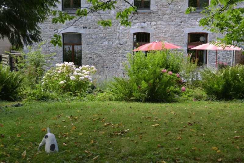 Notre grand jardin vue du fond accessible à tous les hôtes